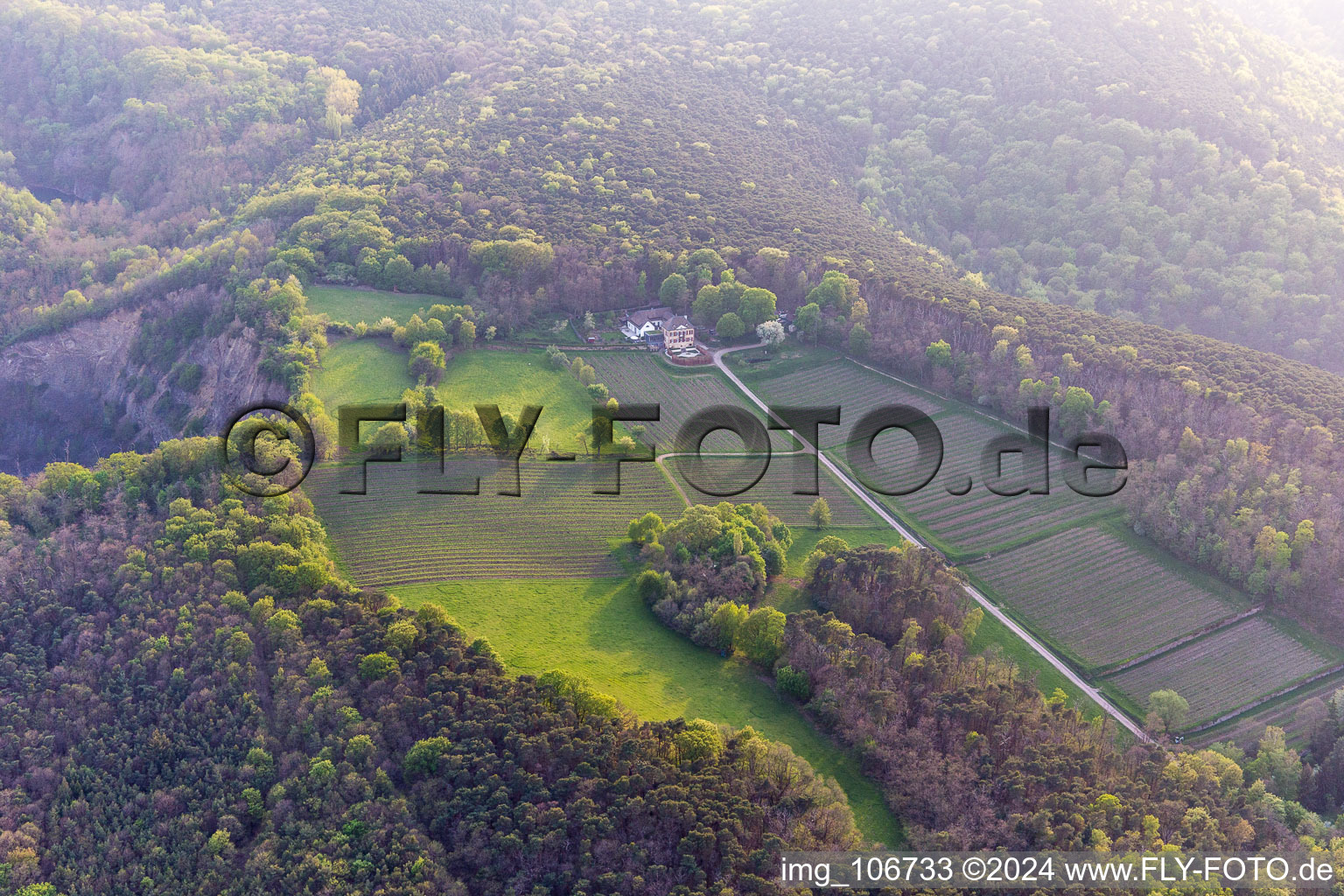 Vue aérienne de Domaine viticole Odinstal à Wachenheim an der Weinstraße dans le département Rhénanie-Palatinat, Allemagne