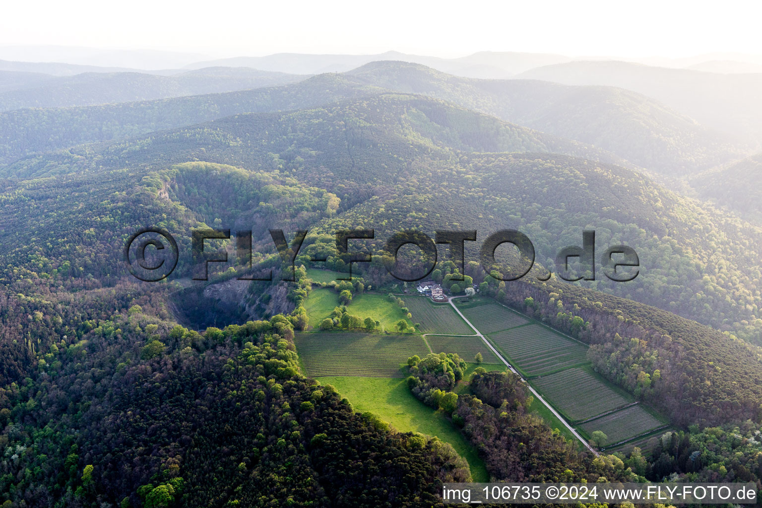 Vue aérienne de Domaine viticole Odinstal à Wachenheim an der Weinstraße dans le département Rhénanie-Palatinat, Allemagne