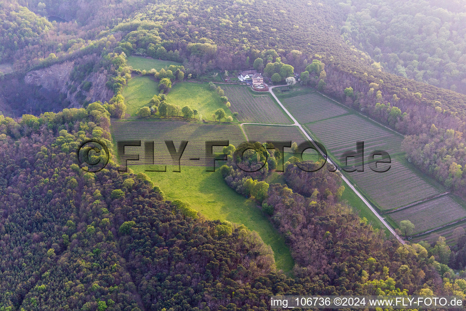 Photographie aérienne de Domaine viticole Odinstal à Wachenheim an der Weinstraße dans le département Rhénanie-Palatinat, Allemagne