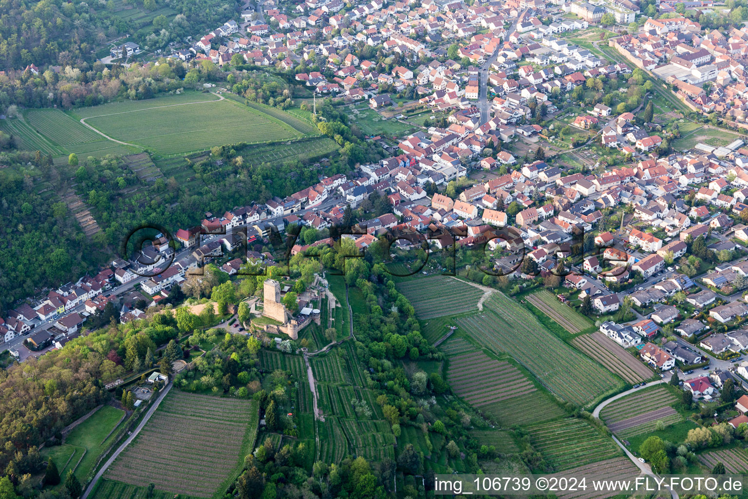 Vue aérienne de Wachtenburg (ruine du « château de Wachenheim ») à Wachenheim an der Weinstraße dans le département Rhénanie-Palatinat, Allemagne