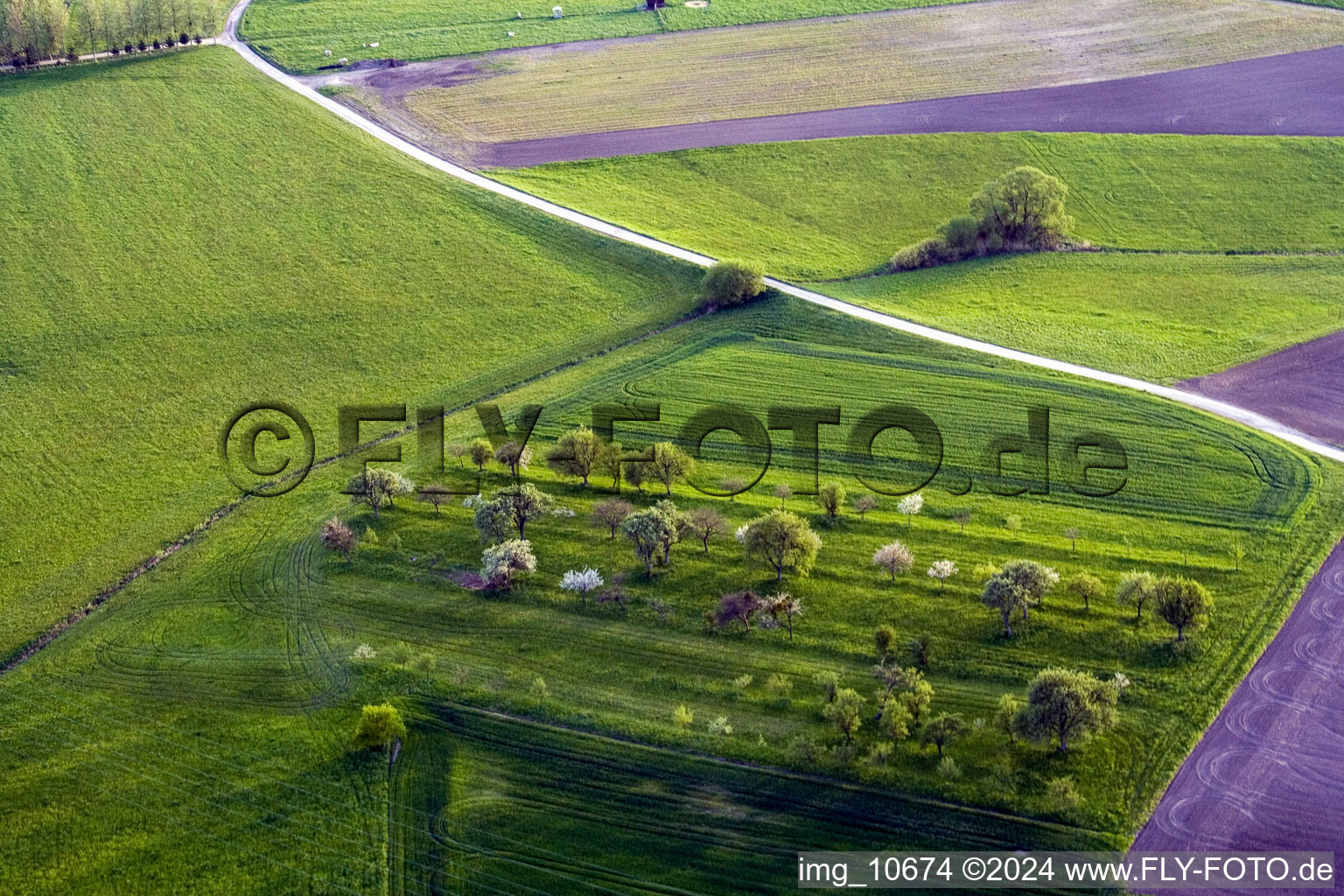 Photographie aérienne de Durrenbach dans le département Bas Rhin, France