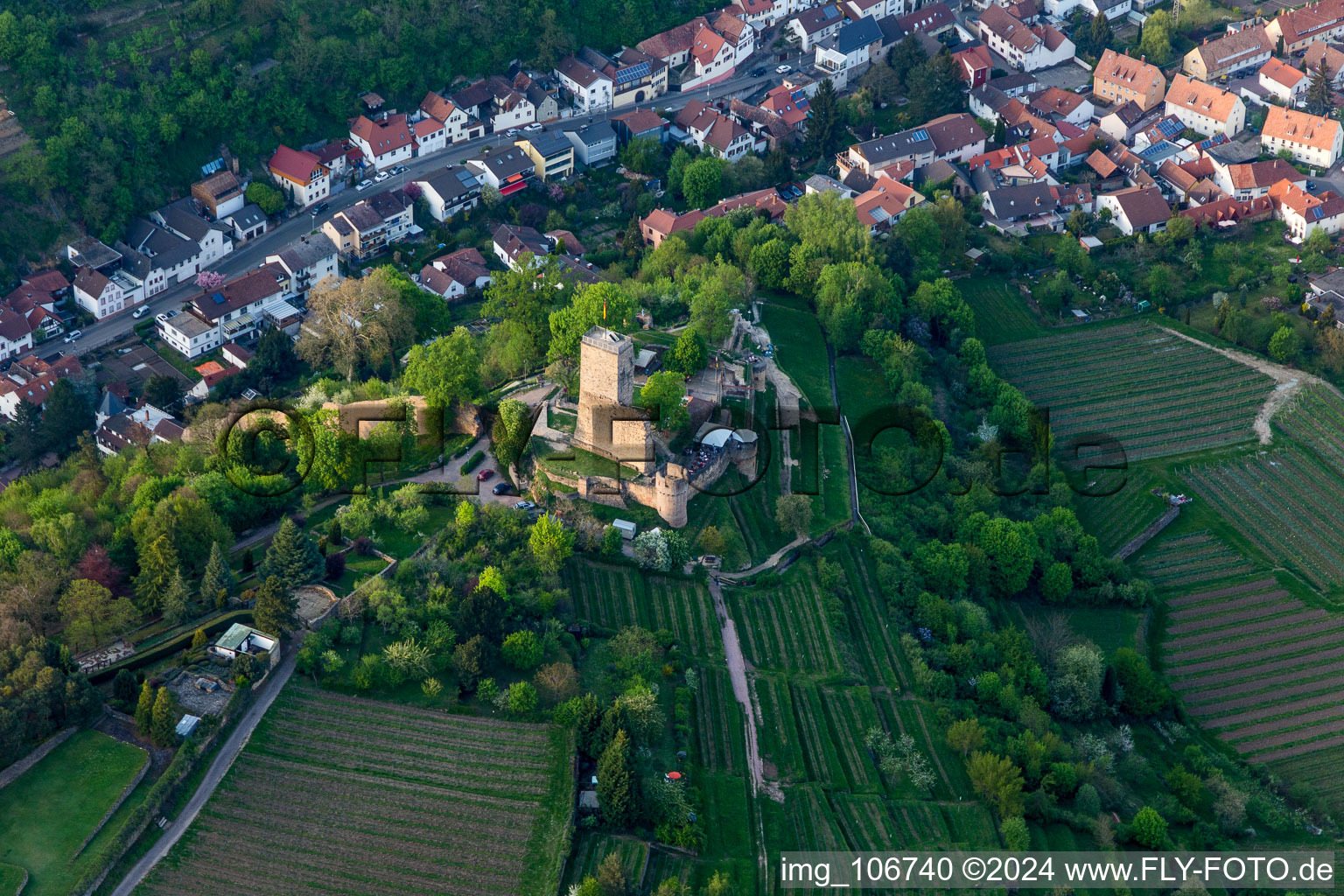 Vue aérienne de Quartier Wachenheim in Wachenheim an der Weinstraße dans le département Rhénanie-Palatinat, Allemagne