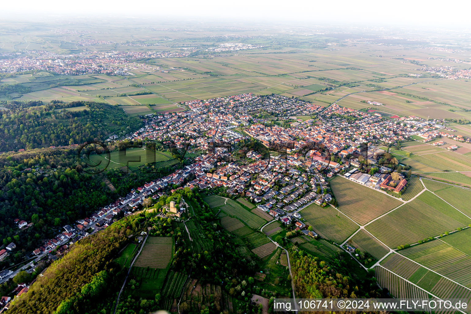 Vue aérienne de Wachtenburg (ruine du « château de Wachenheim ») à Wachenheim an der Weinstraße dans le département Rhénanie-Palatinat, Allemagne