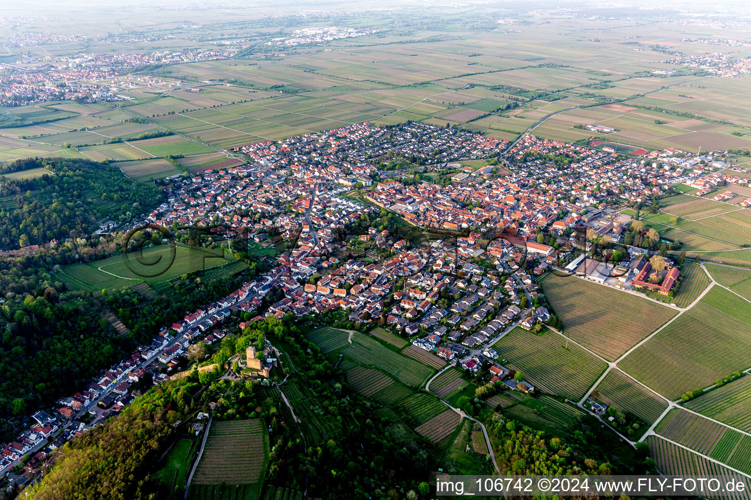 Vue oblique de Wachenheim an der Weinstraße dans le département Rhénanie-Palatinat, Allemagne