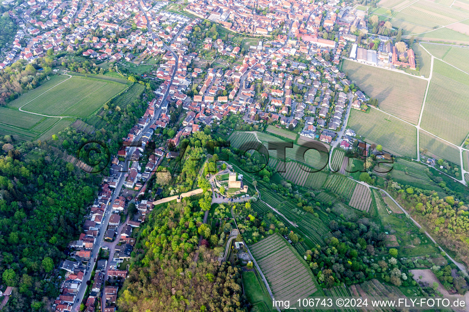 Photographie aérienne de Wachtenburg (ruine du « château de Wachenheim ») à Wachenheim an der Weinstraße dans le département Rhénanie-Palatinat, Allemagne