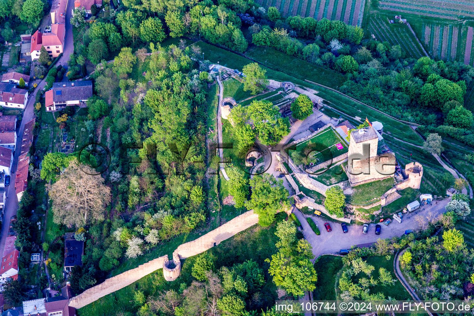 Vue oblique de Wachtenburg (ruine du « château de Wachenheim ») à Wachenheim an der Weinstraße dans le département Rhénanie-Palatinat, Allemagne