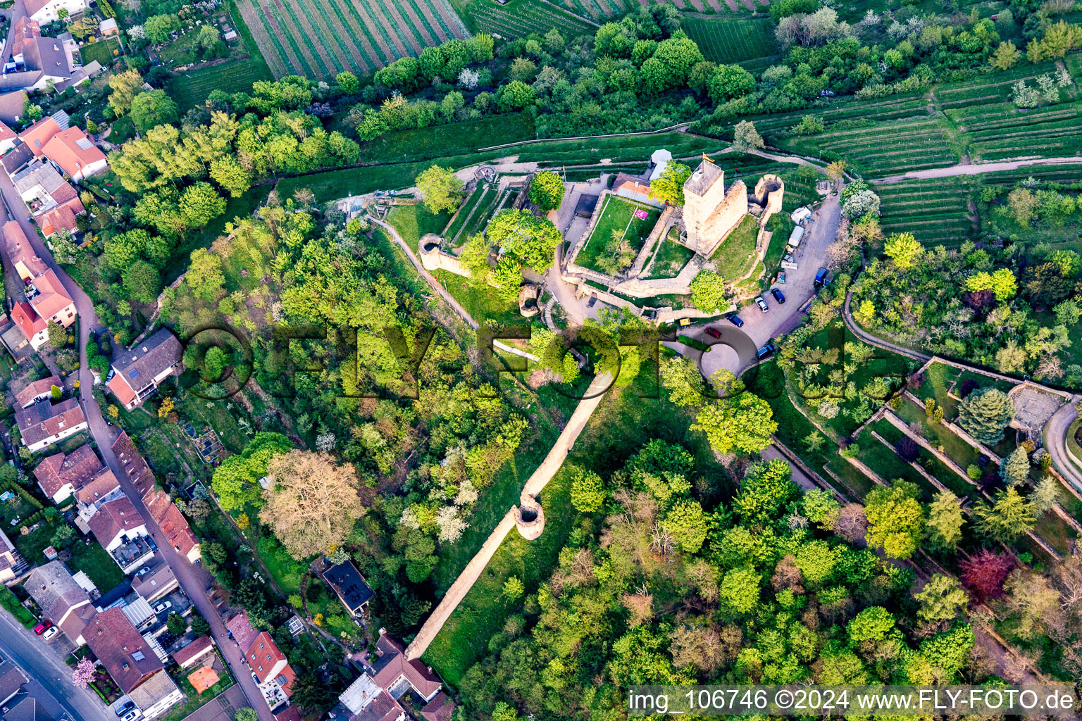 Vue aérienne de Quartier Wachenheim in Wachenheim an der Weinstraße dans le département Rhénanie-Palatinat, Allemagne