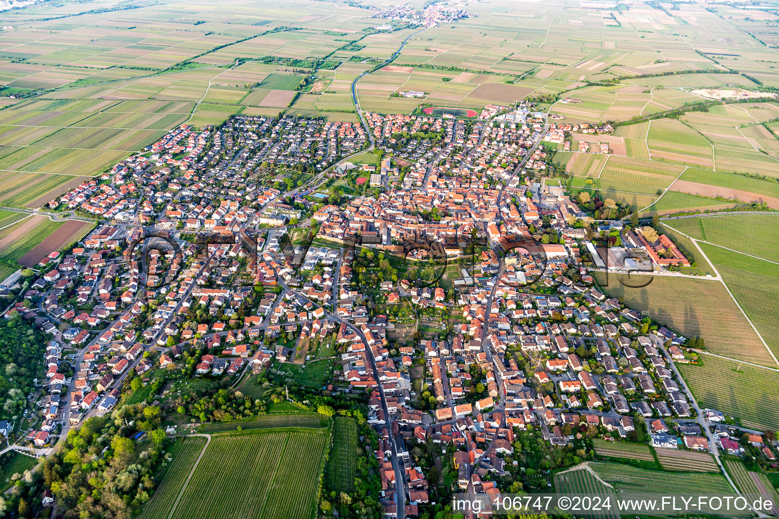 Vue aérienne de Vue sur la commune en bordure de champs agricoles et de zones agricoles à le quartier Wachenheim in Wachenheim an der Weinstraße dans le département Rhénanie-Palatinat, Allemagne