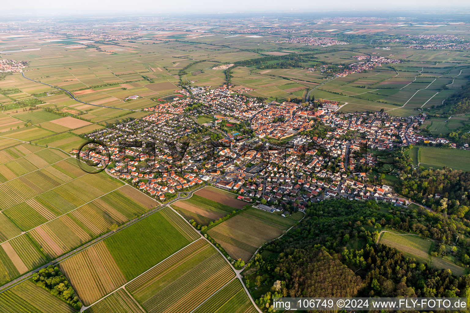 Vue aérienne de Vue sur la commune en bordure de champs agricoles et de zones agricoles à le quartier Wachenheim in Wachenheim an der Weinstraße dans le département Rhénanie-Palatinat, Allemagne