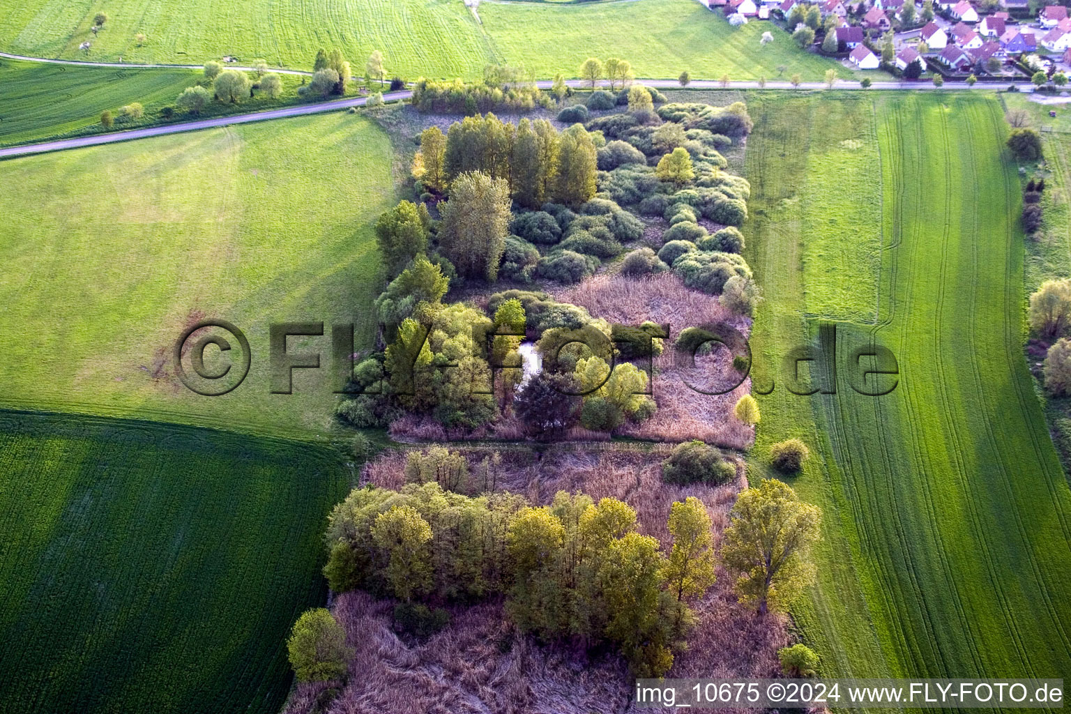 Vue aérienne de Île aux arbres dans un champ à Durrenbach à Walbourg dans le département Bas Rhin, France