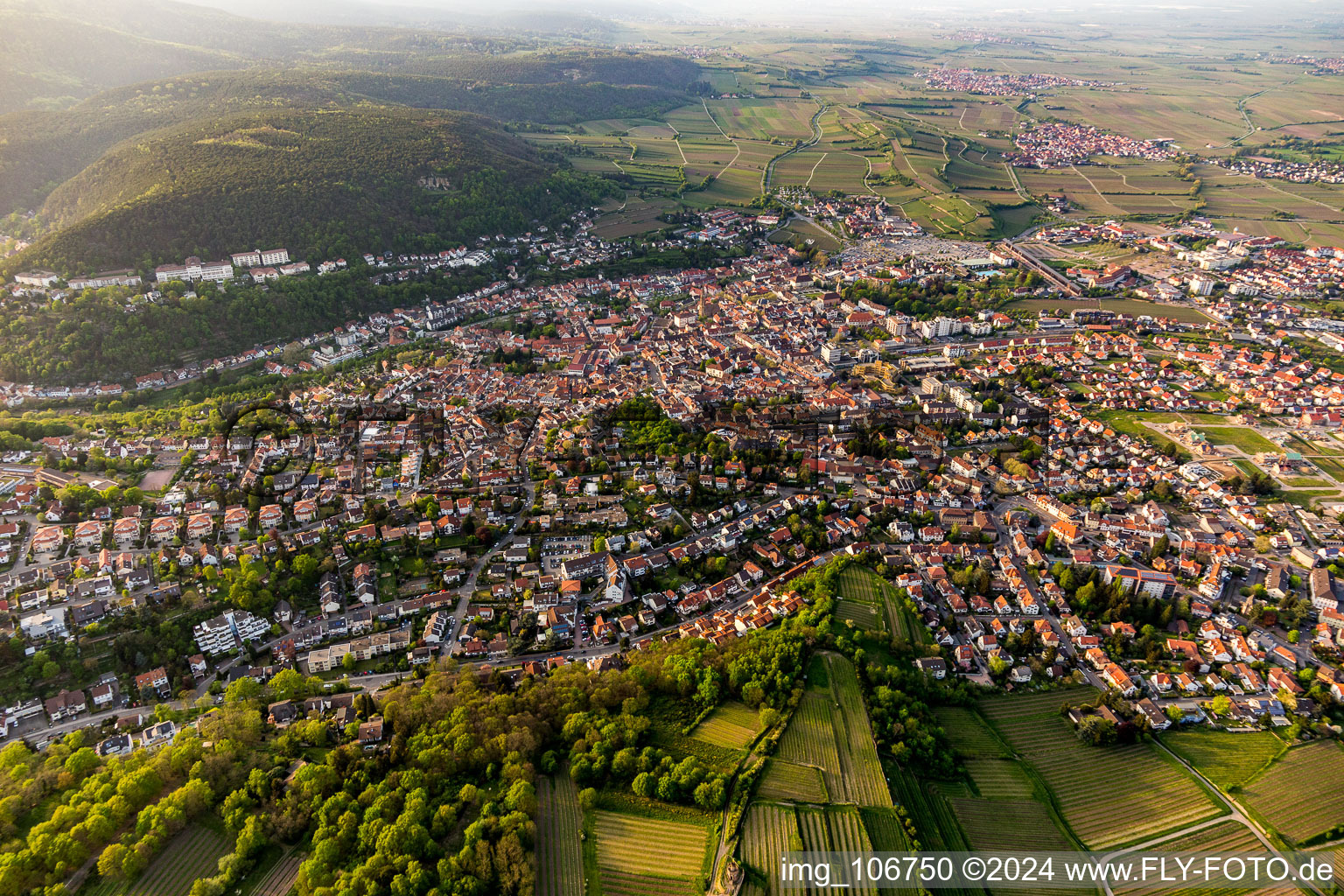 Vue aérienne de Du sud à le quartier Seebach in Bad Dürkheim dans le département Rhénanie-Palatinat, Allemagne