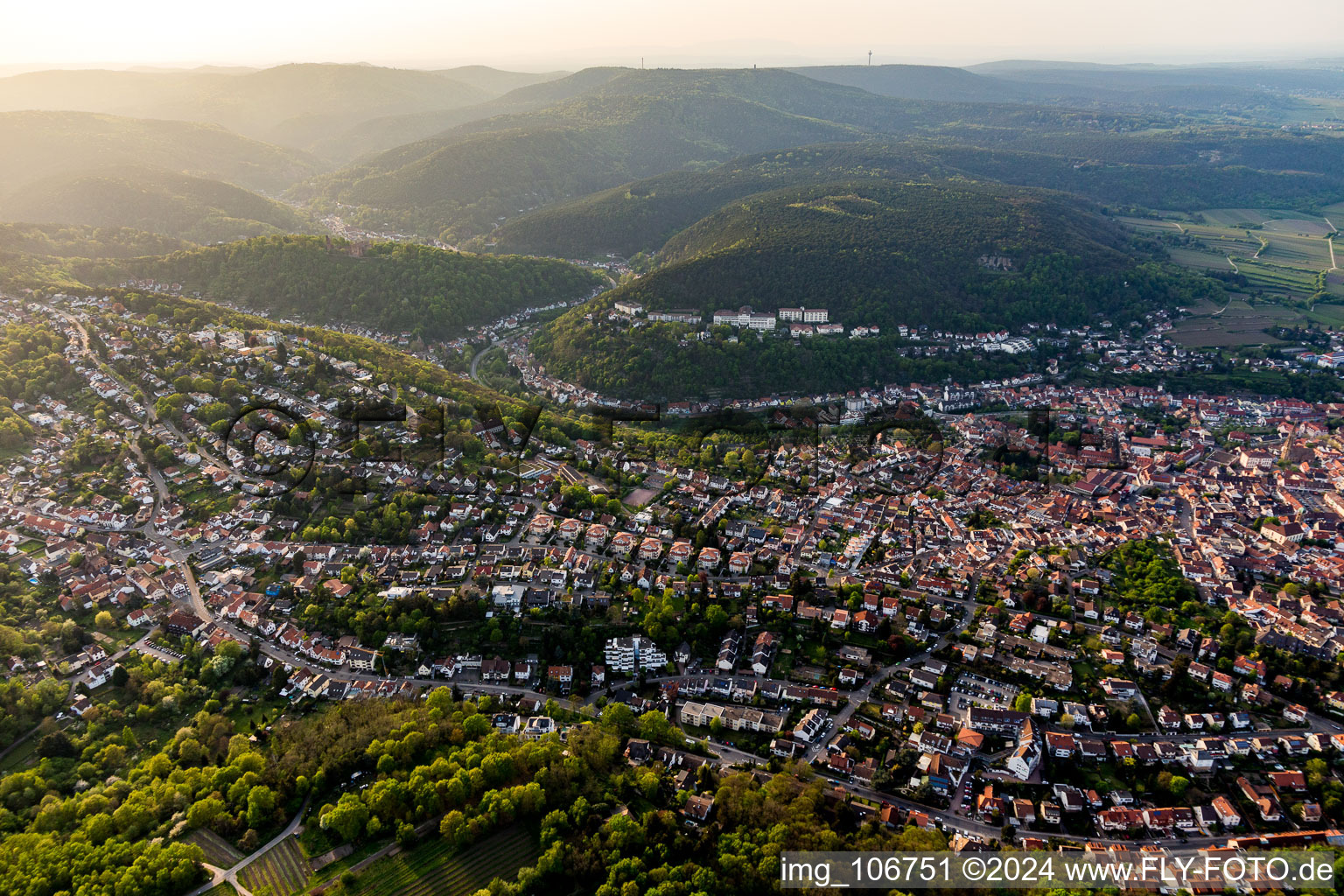 Vue aérienne de Du sud à Bad Dürkheim dans le département Rhénanie-Palatinat, Allemagne