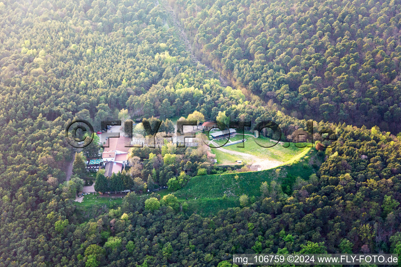 Vue aérienne de Restaurant forestier en plein air Schützenhaus à Bad Dürkheim dans le département Rhénanie-Palatinat, Allemagne