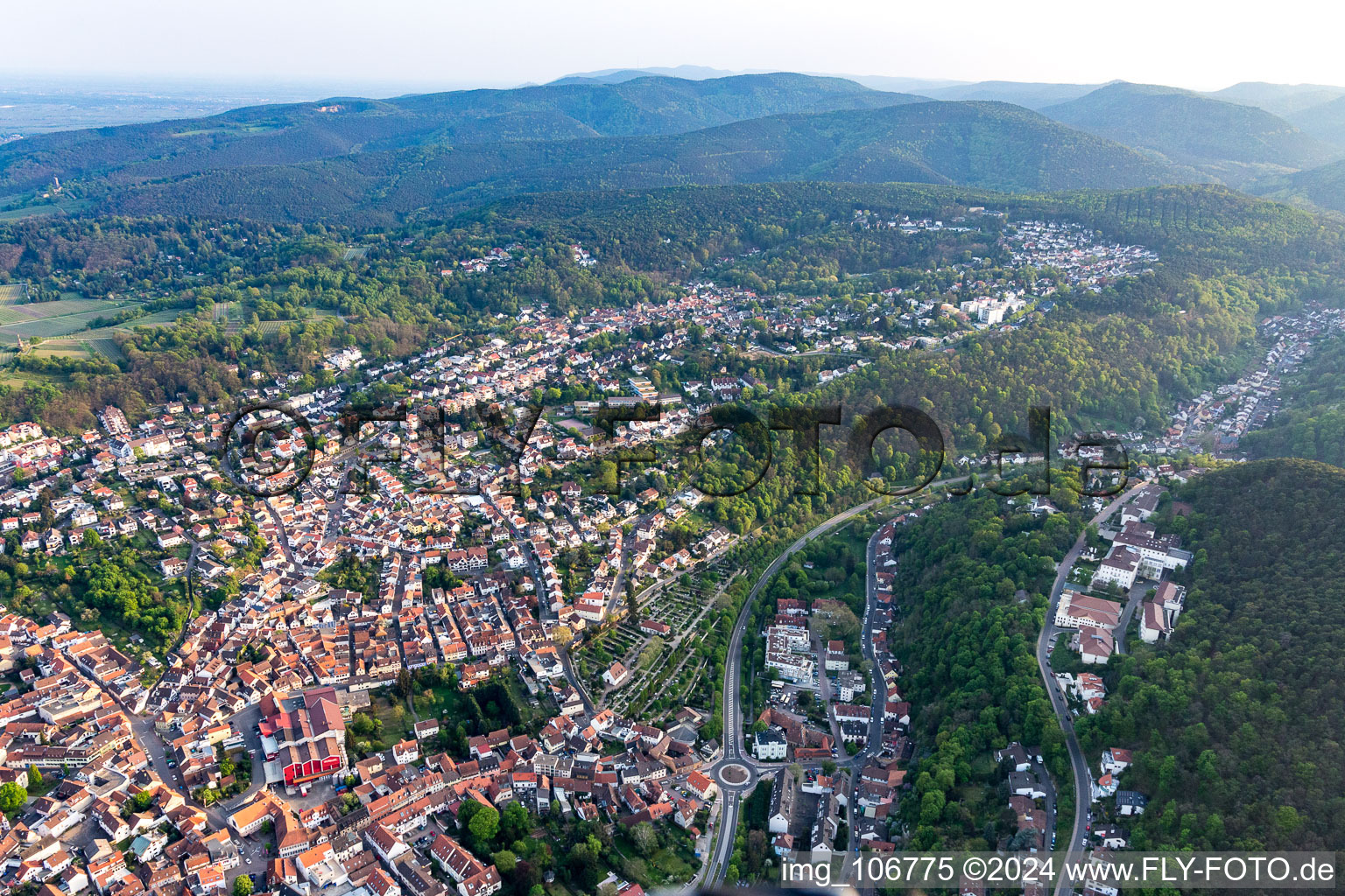 Vue aérienne de Quatre ans de vignerons à le quartier Seebach in Bad Dürkheim dans le département Rhénanie-Palatinat, Allemagne