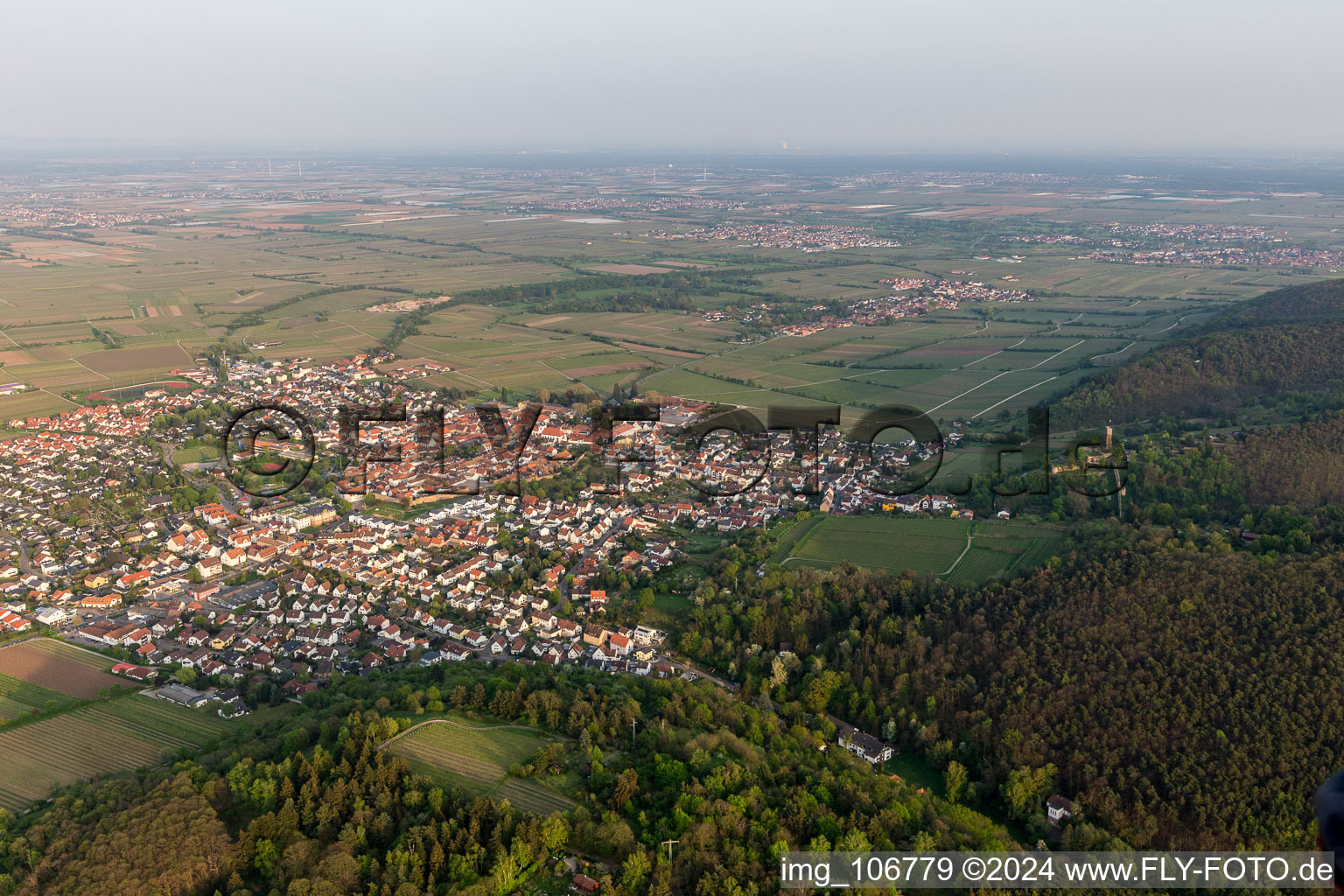 Wachenheim an der Weinstraße dans le département Rhénanie-Palatinat, Allemagne d'en haut