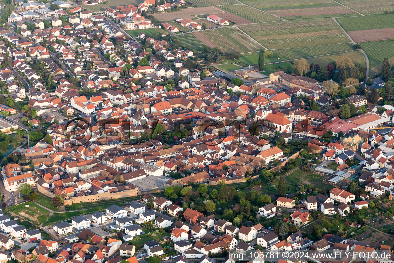 Wachenheim an der Weinstraße dans le département Rhénanie-Palatinat, Allemagne hors des airs