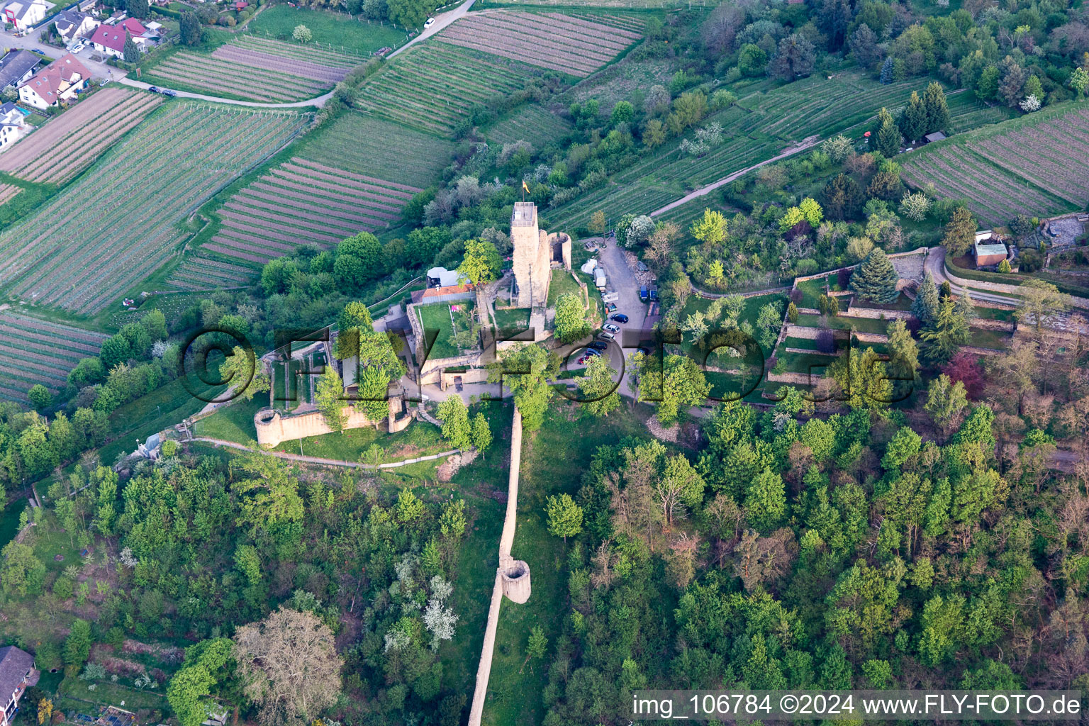 Photographie aérienne de Quartier Wachenheim in Wachenheim an der Weinstraße dans le département Rhénanie-Palatinat, Allemagne