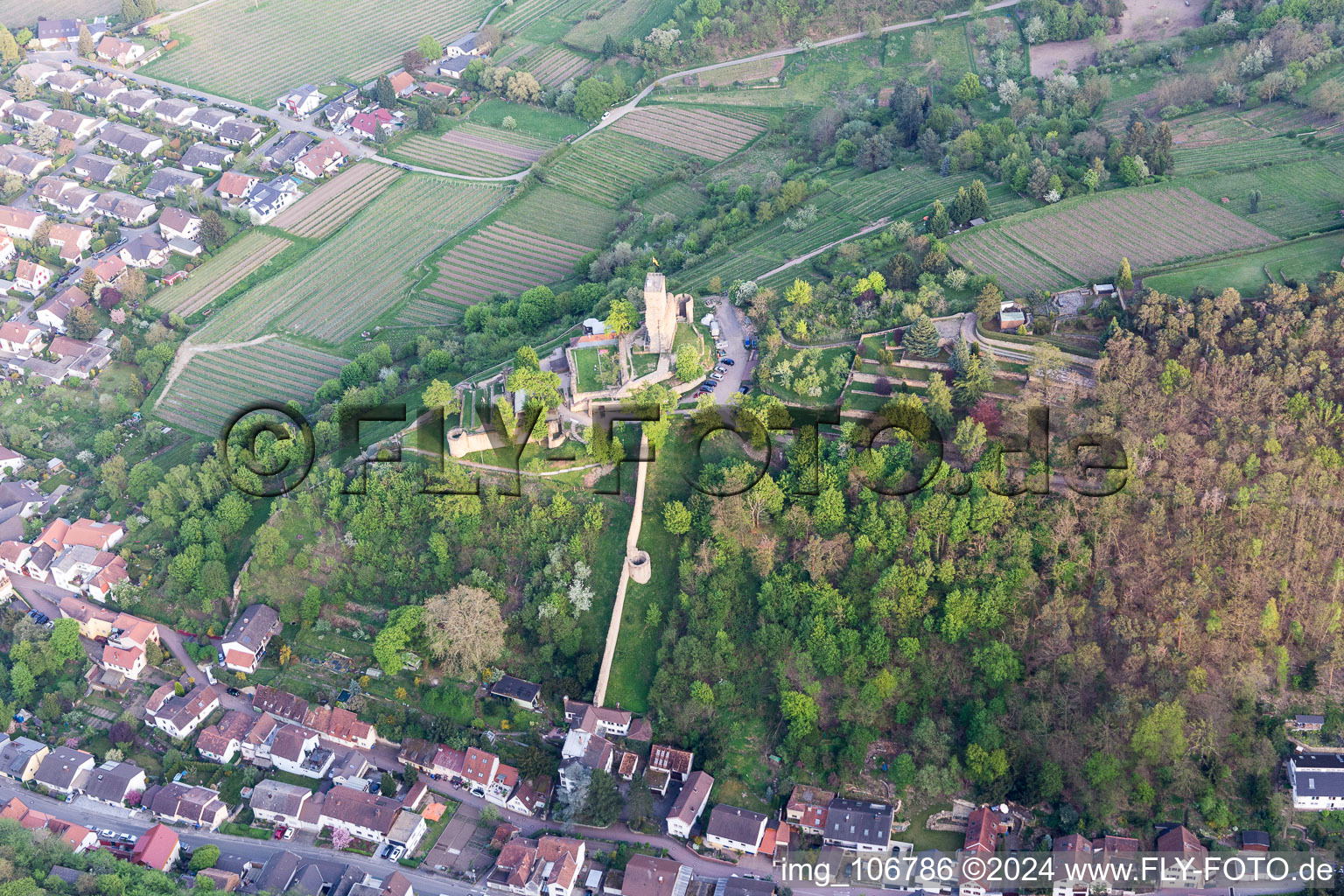 Wachtenburg (ruine du « château de Wachenheim ») à Wachenheim an der Weinstraße dans le département Rhénanie-Palatinat, Allemagne hors des airs