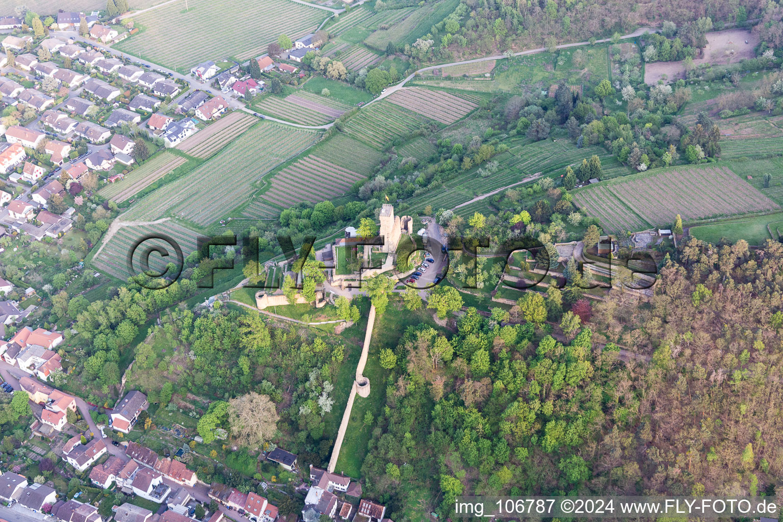 Wachtenburg (ruine du « château de Wachenheim ») à Wachenheim an der Weinstraße dans le département Rhénanie-Palatinat, Allemagne vue d'en haut