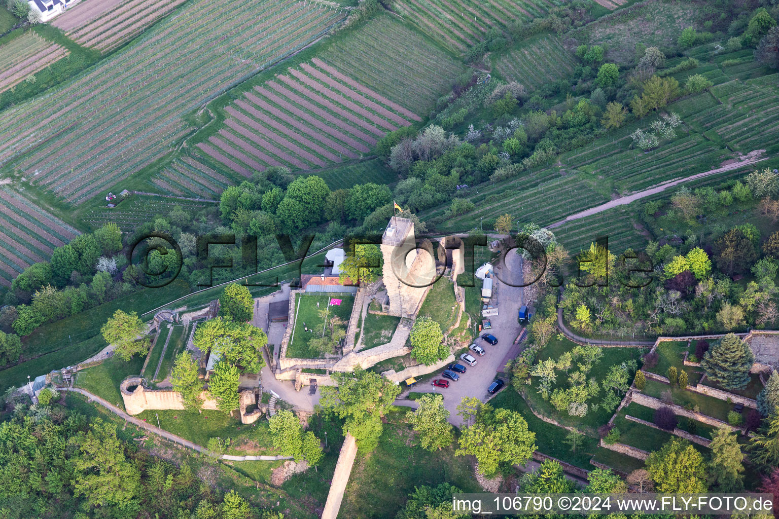 Wachtenburg (ruine du « château de Wachenheim ») à Wachenheim an der Weinstraße dans le département Rhénanie-Palatinat, Allemagne depuis l'avion