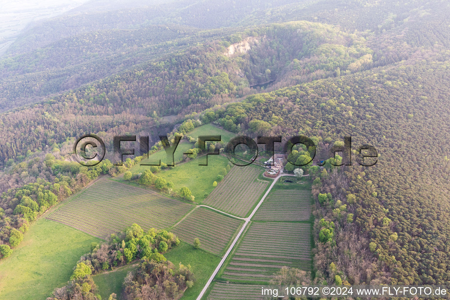 Wachenheim an der Weinstraße dans le département Rhénanie-Palatinat, Allemagne depuis l'avion