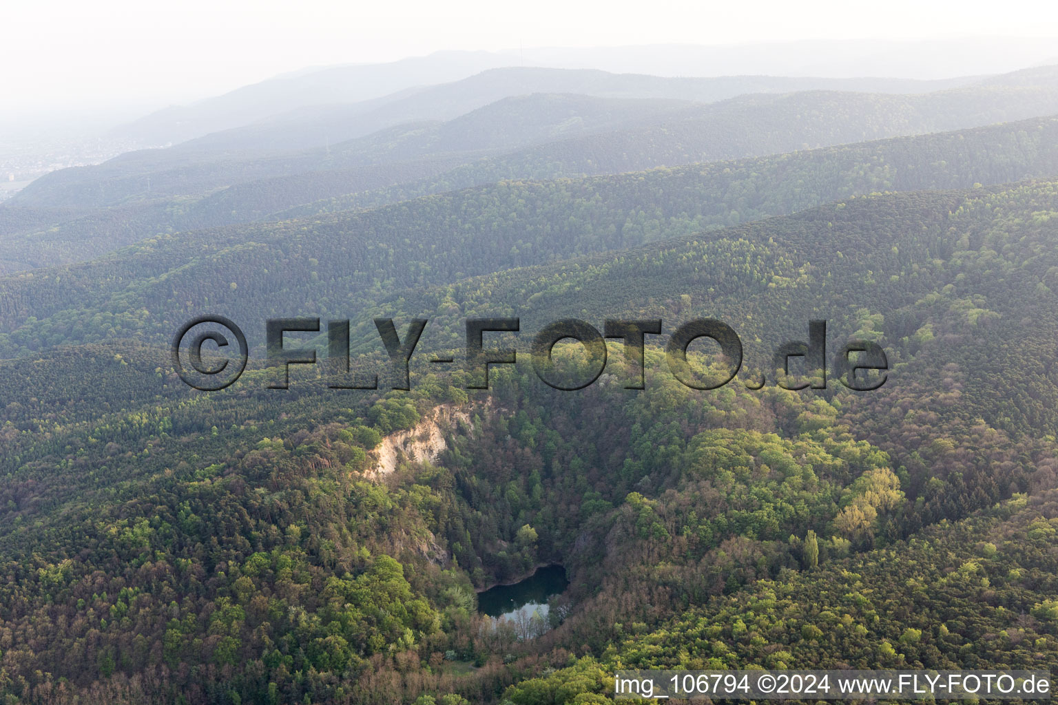 Wachenheim an der Weinstraße dans le département Rhénanie-Palatinat, Allemagne vue du ciel