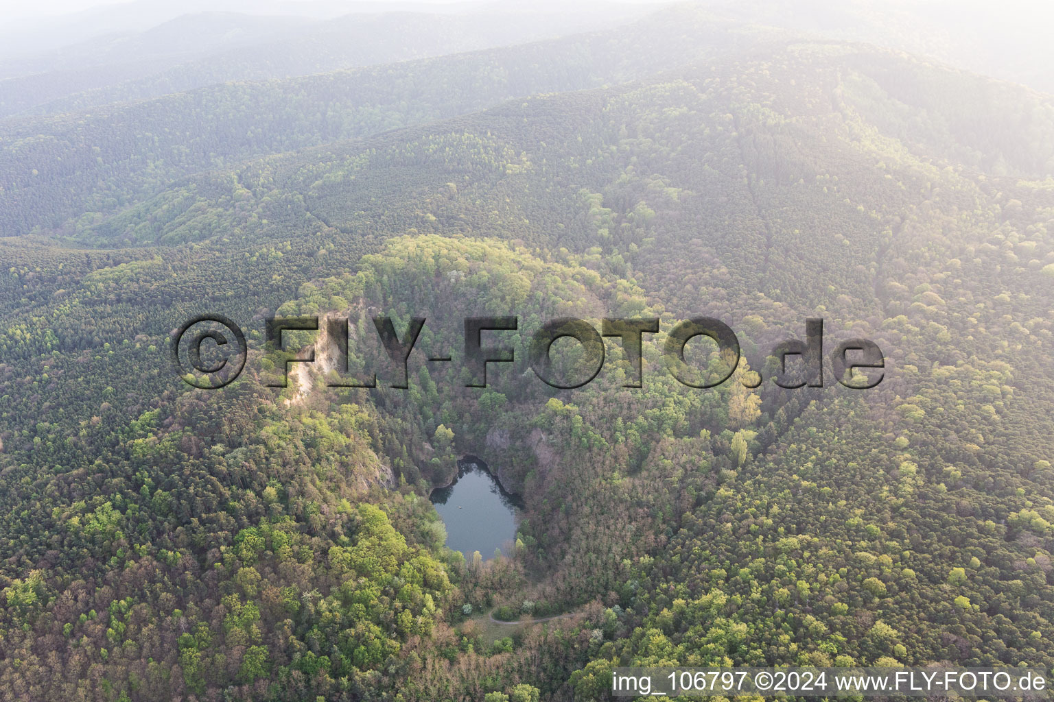 Vue aérienne de Carrière du lac de basalte Aalter à Wachenheim an der Weinstraße dans le département Rhénanie-Palatinat, Allemagne