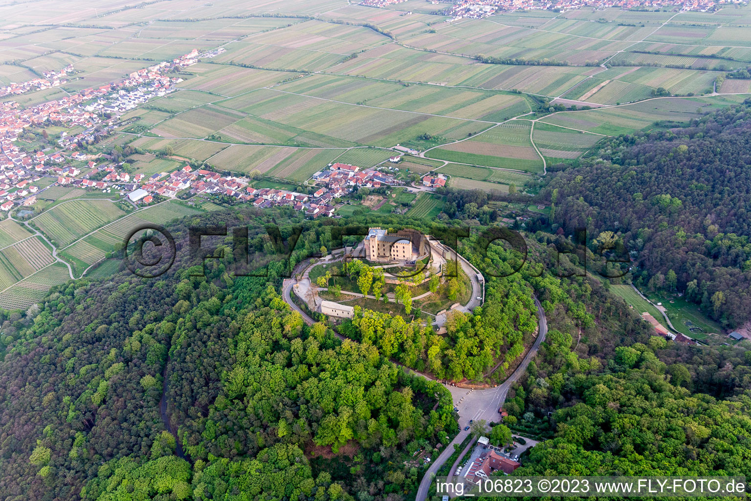 Photographie aérienne de Quartier Diedesfeld in Neustadt an der Weinstraße dans le département Rhénanie-Palatinat, Allemagne