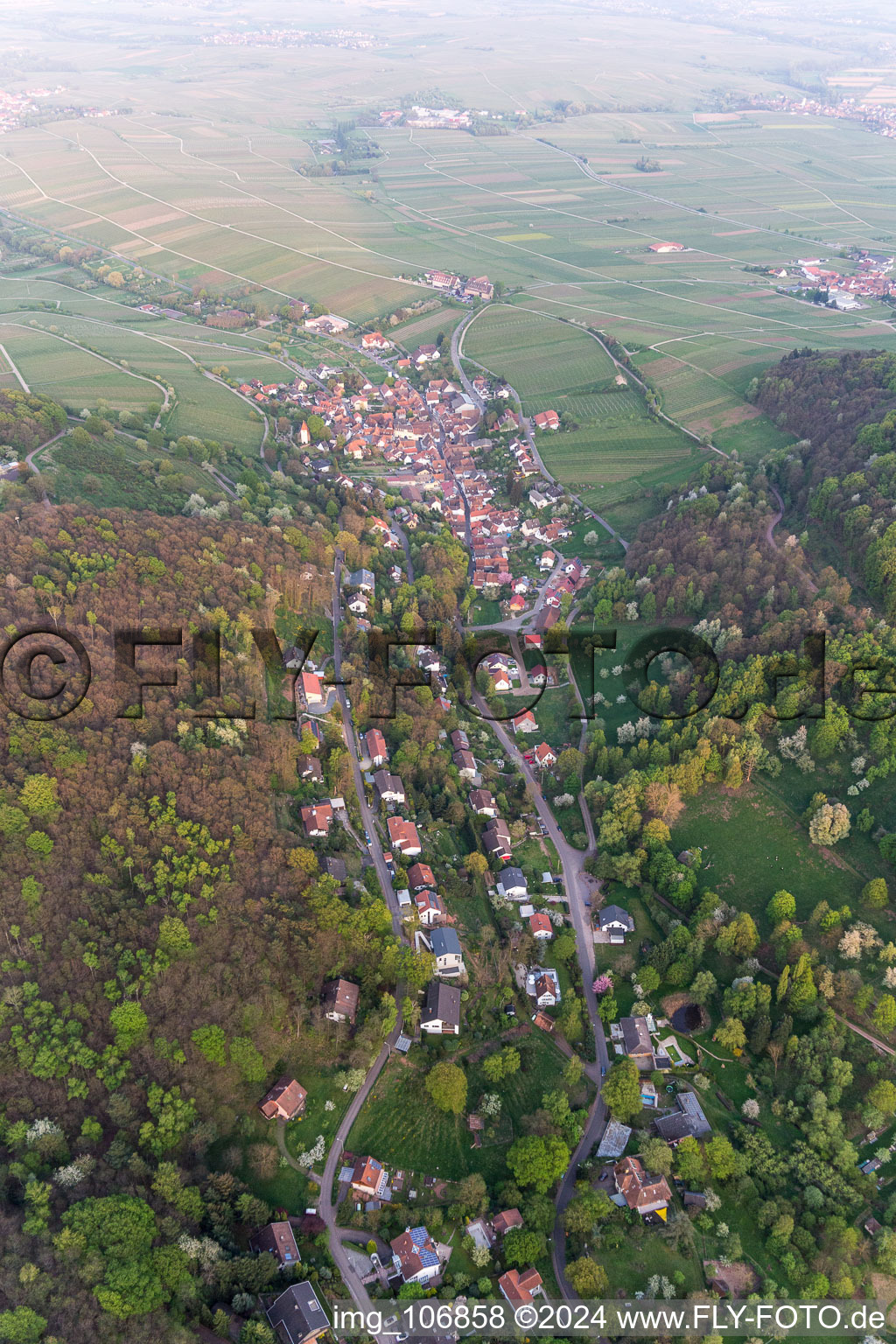 Vue oblique de Leinsweiler dans le département Rhénanie-Palatinat, Allemagne