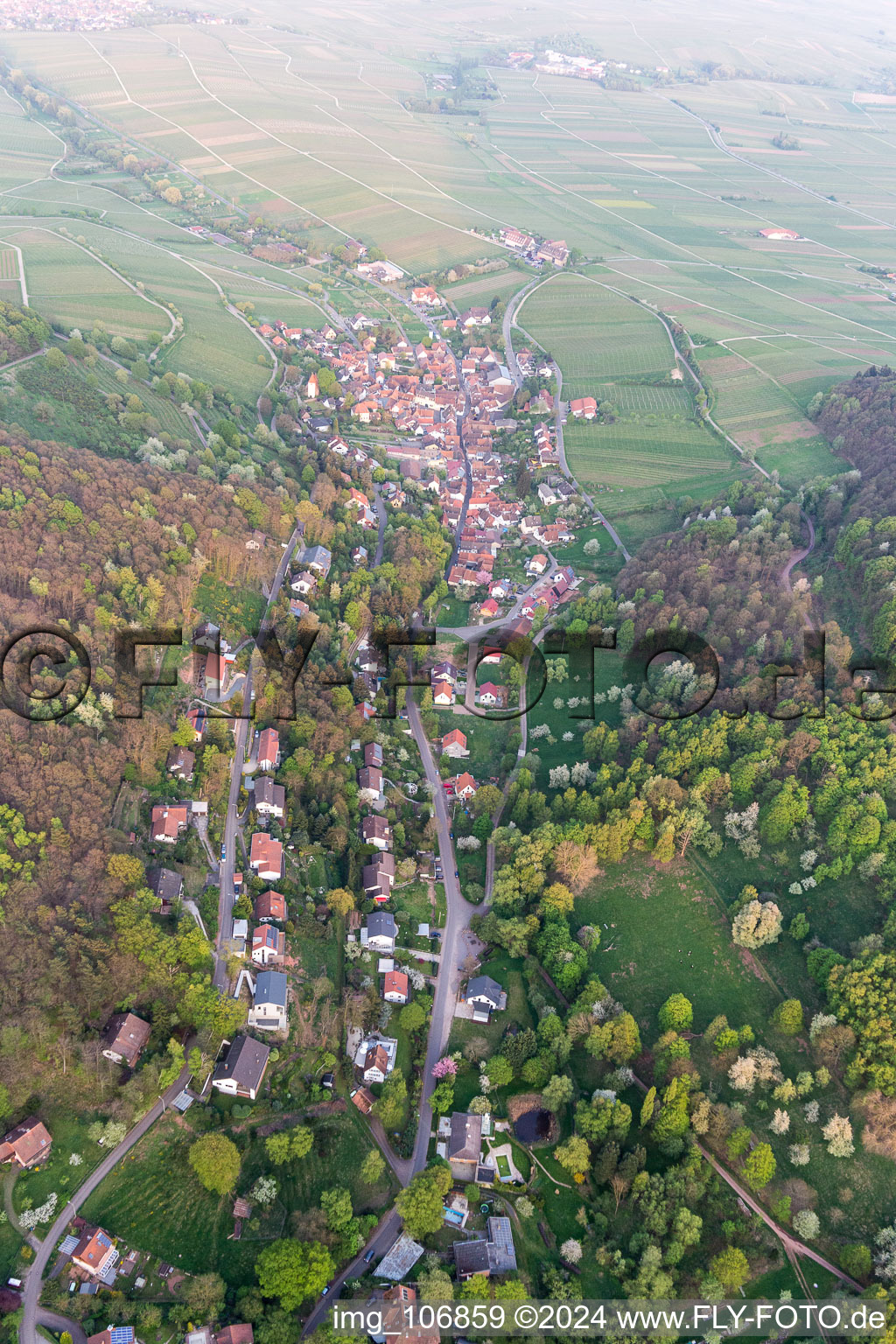 Leinsweiler dans le département Rhénanie-Palatinat, Allemagne d'en haut