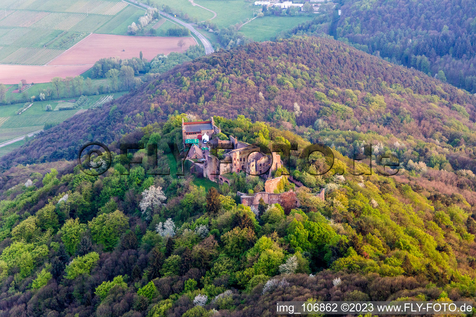 Madenbourg à Eschbach dans le département Rhénanie-Palatinat, Allemagne vue du ciel