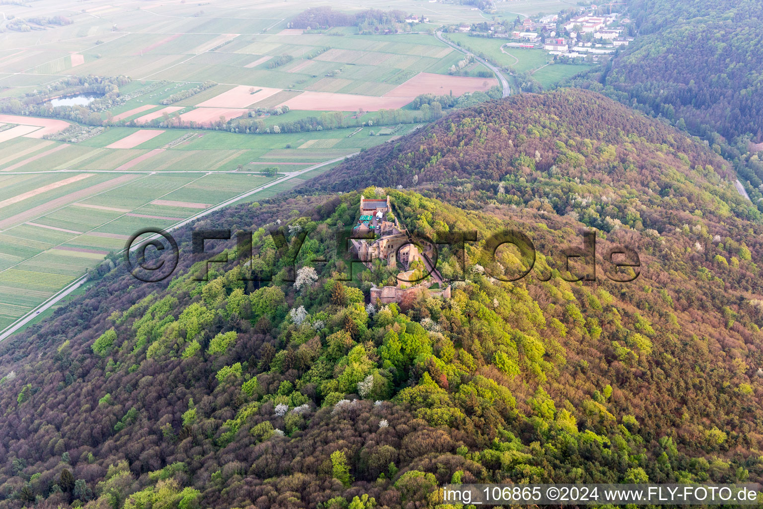 Madenbourg à Eschbach dans le département Rhénanie-Palatinat, Allemagne du point de vue du drone