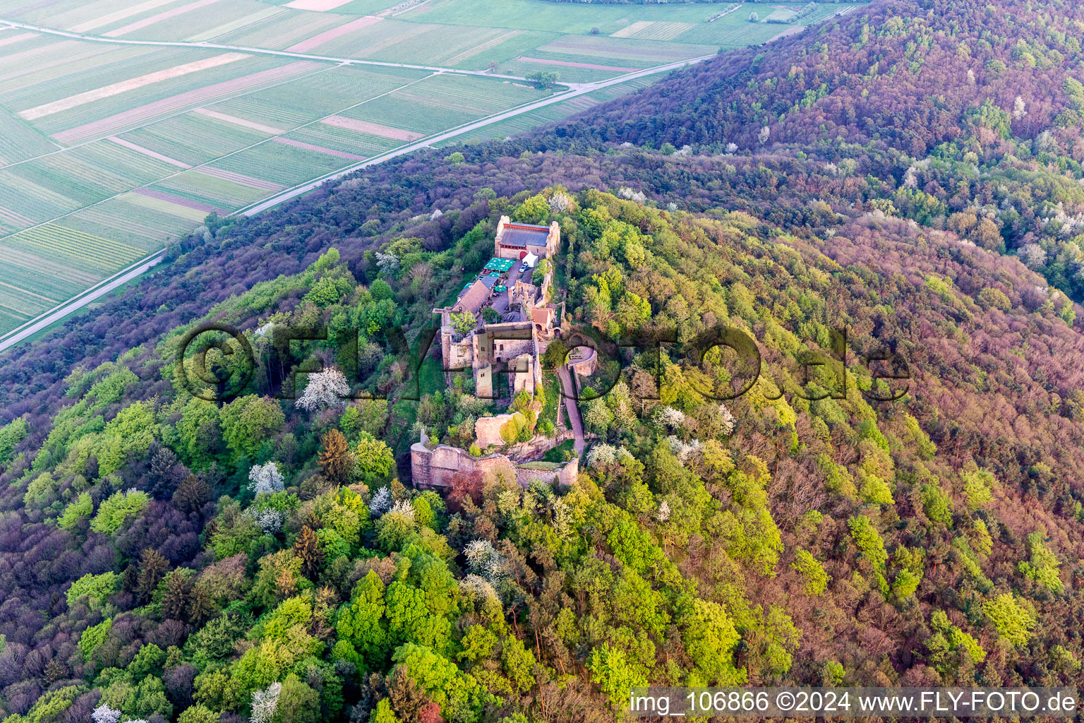 Madenbourg à Eschbach dans le département Rhénanie-Palatinat, Allemagne d'un drone