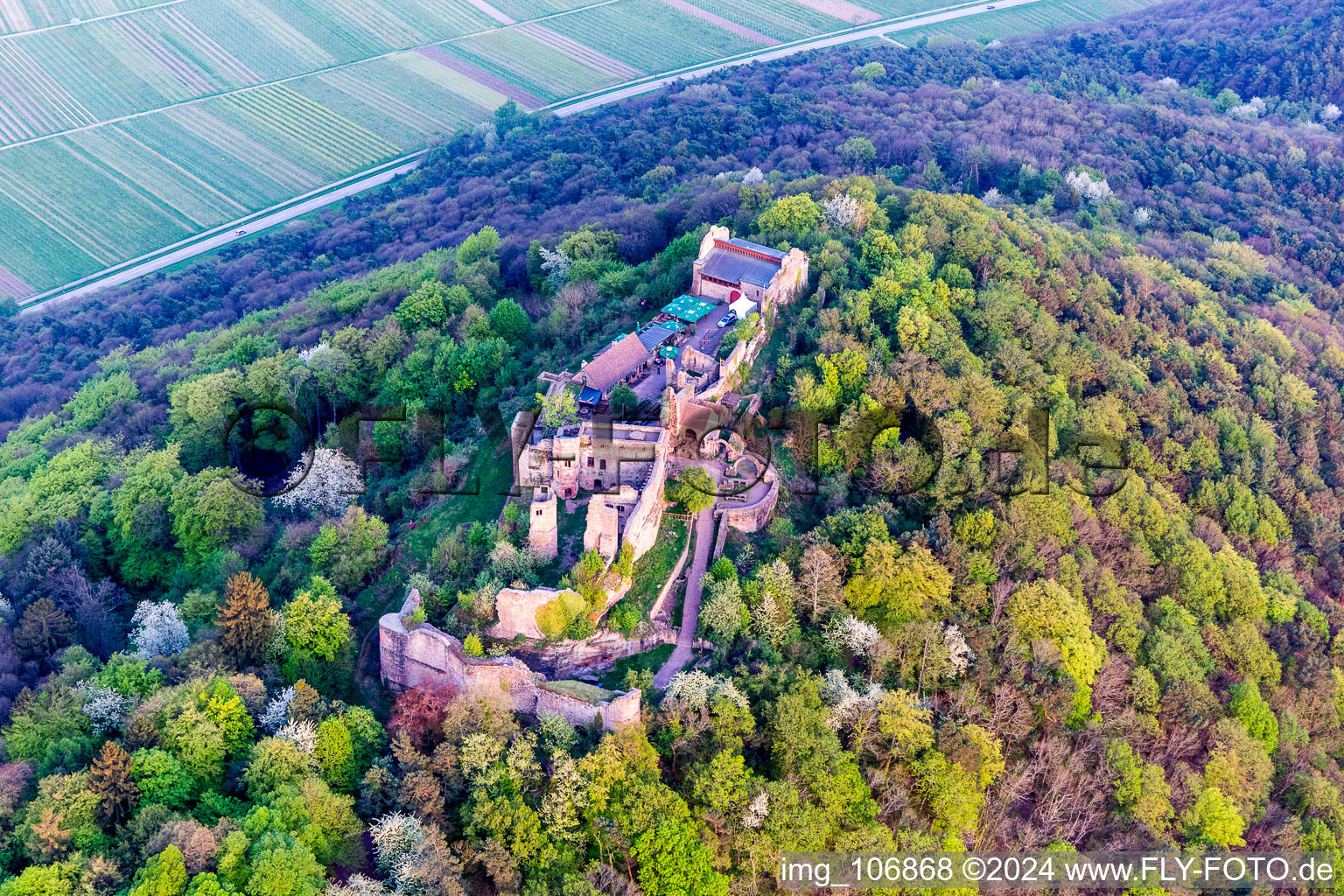 Vue aérienne de Ruines et vestiges du mur de l'ancien complexe du château de Madenburg au printemps à Eschbach dans le département Rhénanie-Palatinat, Allemagne