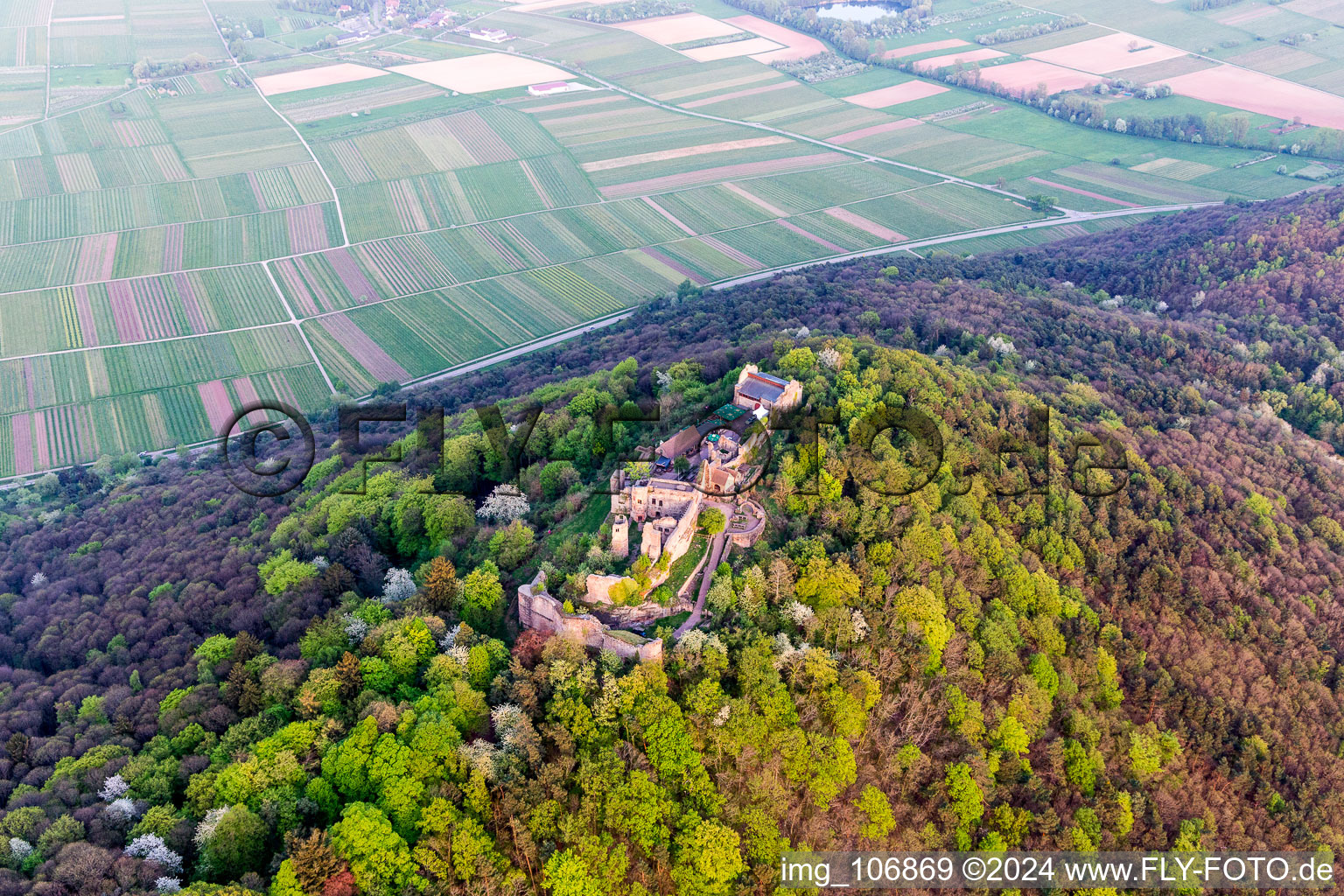 Vue aérienne de Madenbourg à Eschbach dans le département Rhénanie-Palatinat, Allemagne