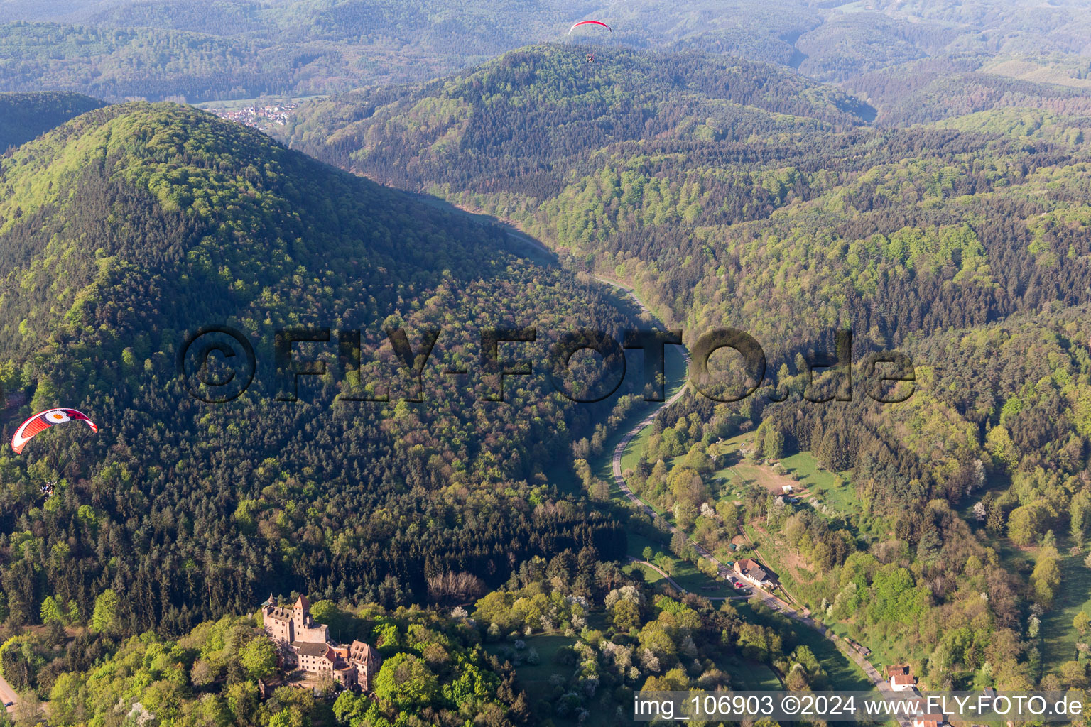 Photographie aérienne de Château de Bewartstein à Erlenbach bei Dahn dans le département Rhénanie-Palatinat, Allemagne