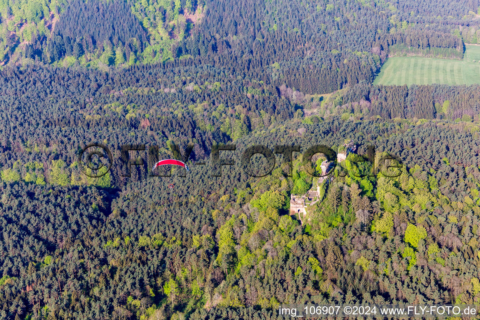 Ruines du château de Drachenfels à Busenberg dans le département Rhénanie-Palatinat, Allemagne du point de vue du drone