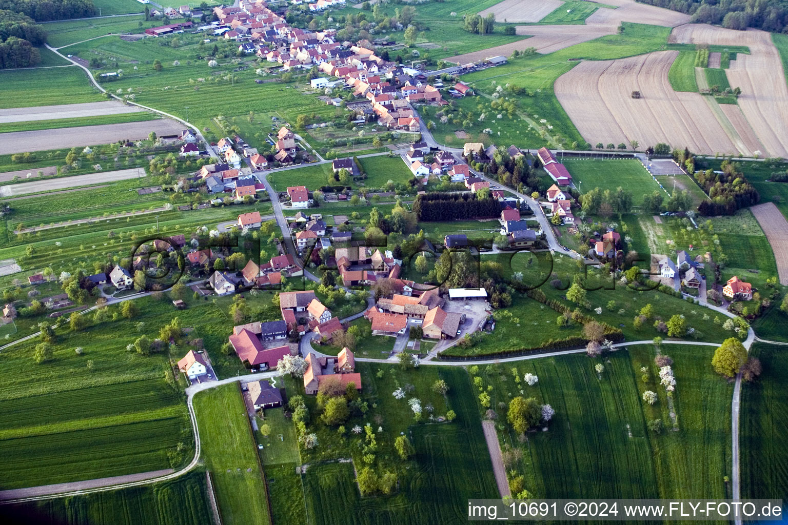 Vue aérienne de Champs agricoles et surfaces utilisables à Laubach dans le département Bas Rhin, France