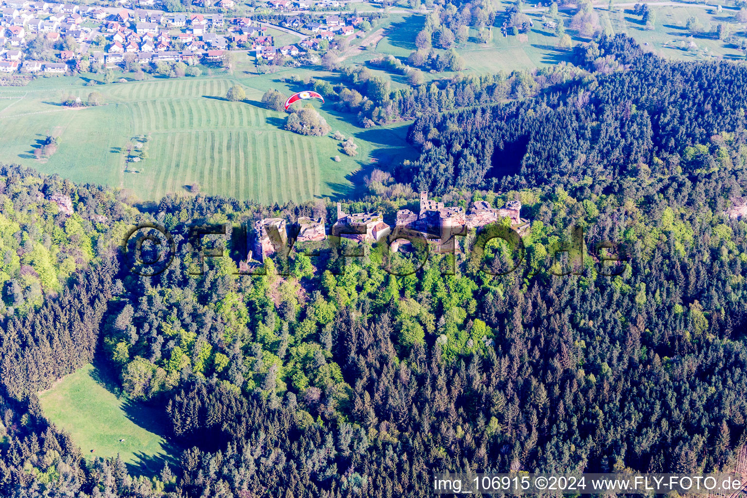 Vue oblique de Ruines d'Altdahn à Dahn dans le département Rhénanie-Palatinat, Allemagne