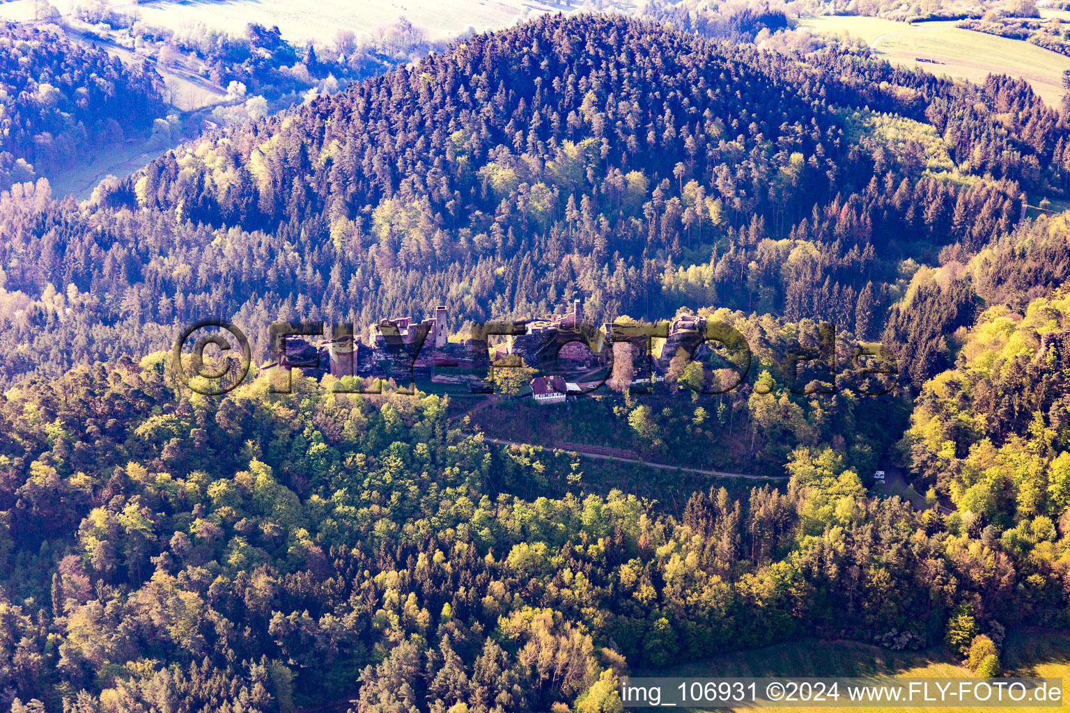 Vue aérienne de Ruines du château d'Altdahn à Dahn dans le département Rhénanie-Palatinat, Allemagne