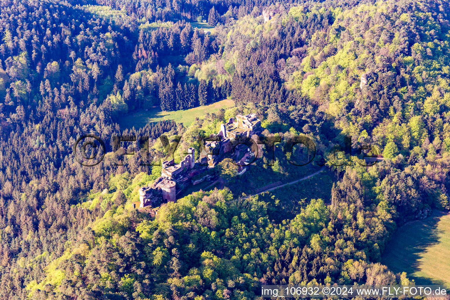 Vue aérienne de Ruines du château d'Altdahn à Dahn dans le département Rhénanie-Palatinat, Allemagne