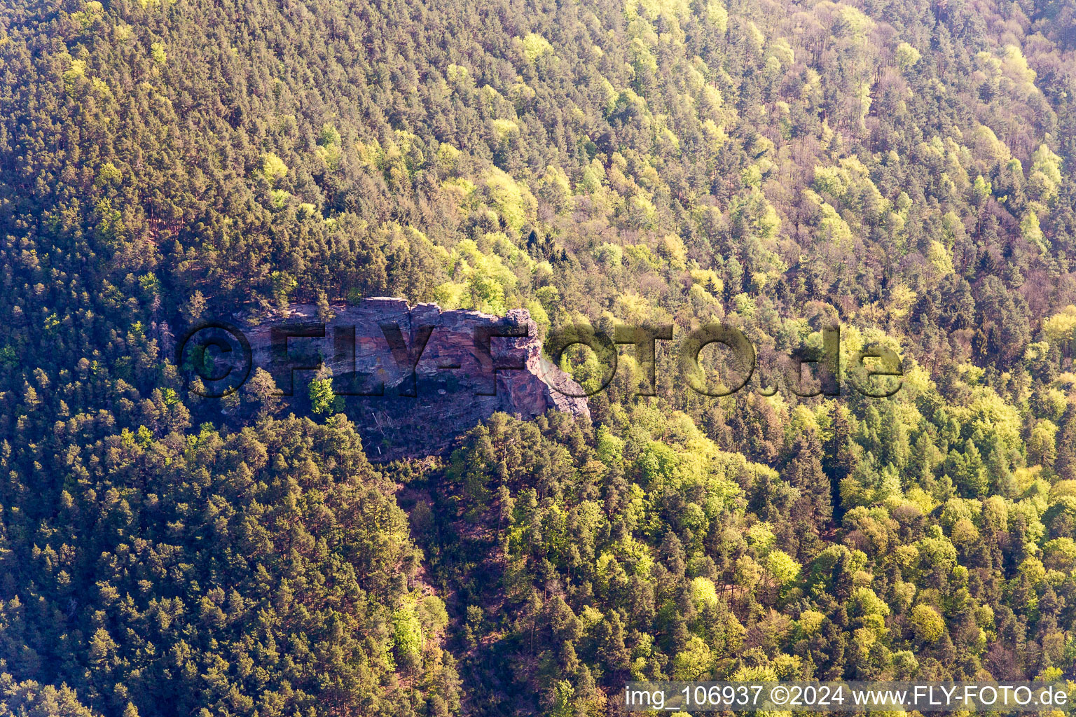 Vue aérienne de Darstein dans le département Rhénanie-Palatinat, Allemagne