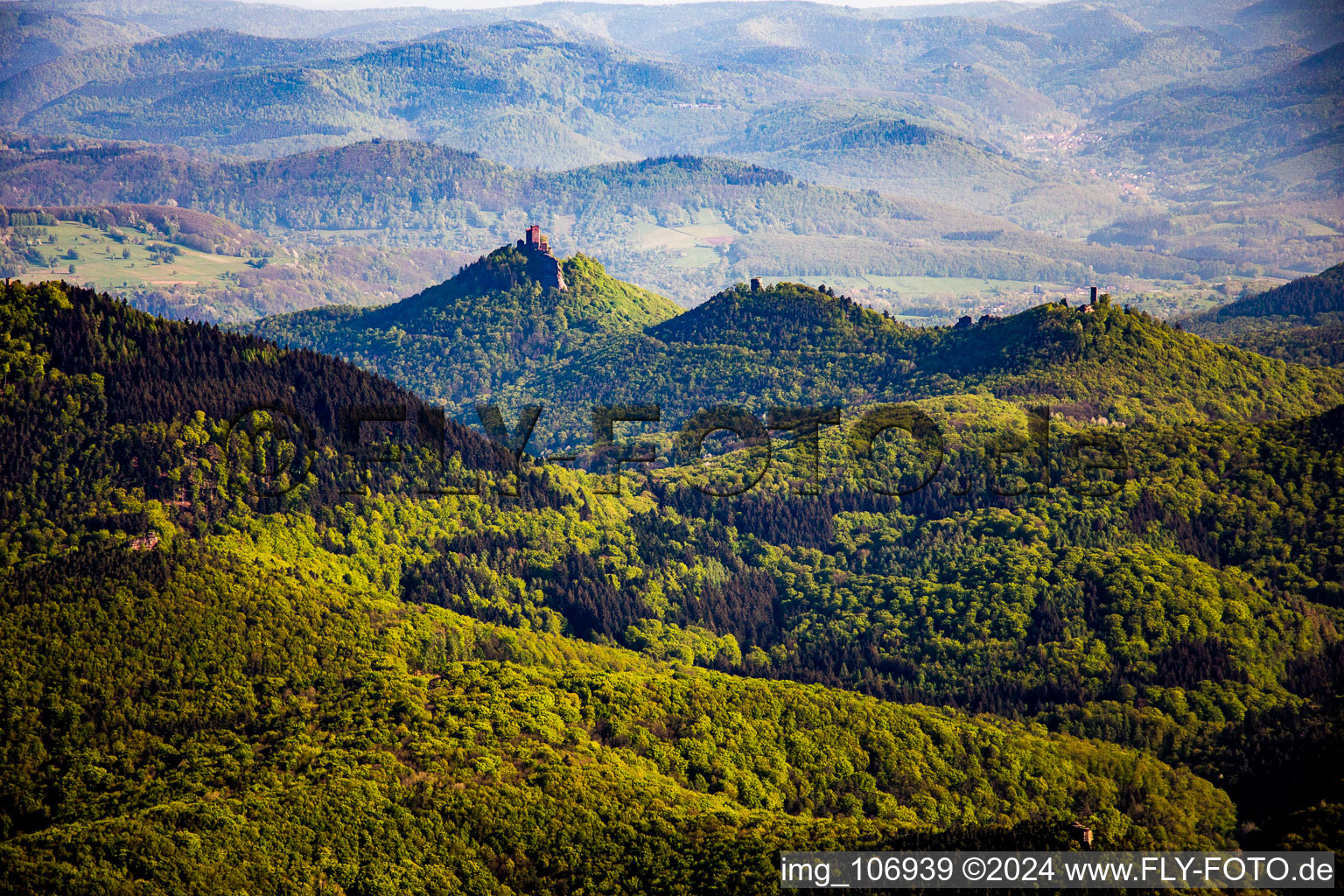 Vue aérienne de Châteaux de Trifels, Scharfeneck et Anebos au-dessus de la forêt du Palatinat à Annweiler am Trifels dans le département Rhénanie-Palatinat, Allemagne