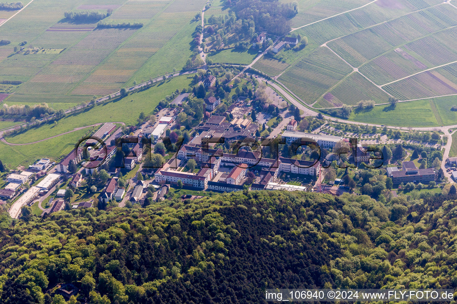 Klingenmünster dans le département Rhénanie-Palatinat, Allemagne d'un drone