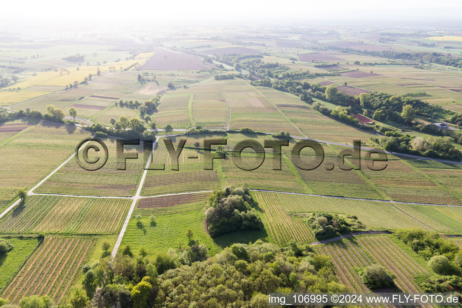 Vue d'oiseau de Oberotterbach dans le département Rhénanie-Palatinat, Allemagne