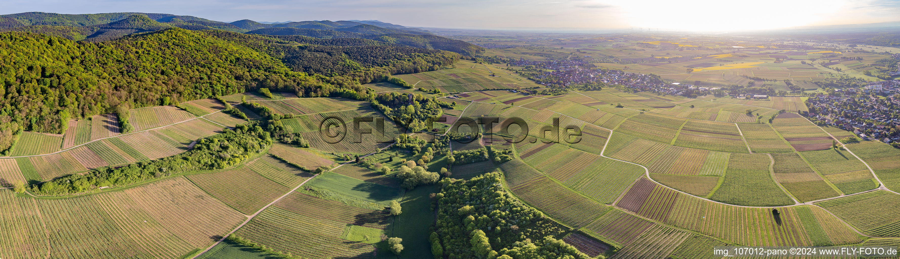 Vue aérienne de Panorama - paysage viticole en perspective du vignoble de Sonnenberg à Wissembourg dans le département Bas Rhin, France
