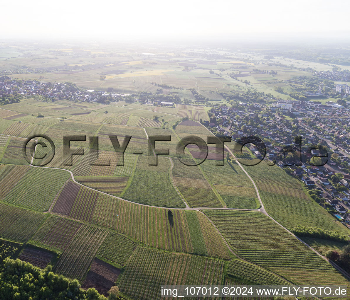 Vue aérienne de Vignoble Sonnenberg à Wissembourg dans le département Bas Rhin, France