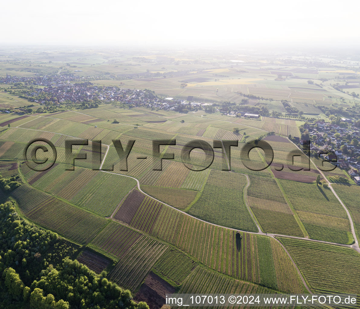 Vue aérienne de Vignoble Sonnenberg à Wissembourg dans le département Bas Rhin, France