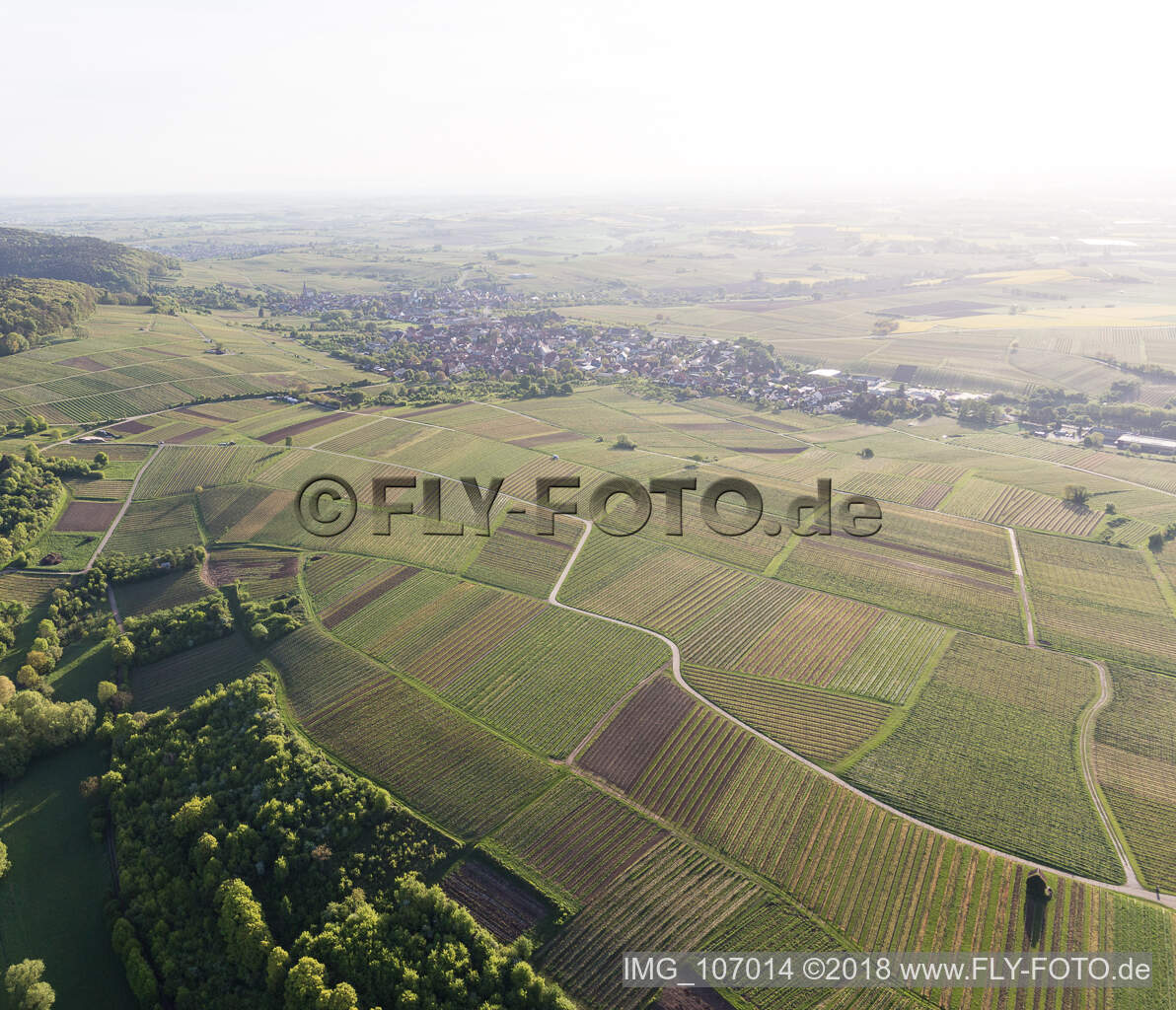Photographie aérienne de Vignoble Sonnenberg à Wissembourg dans le département Bas Rhin, France