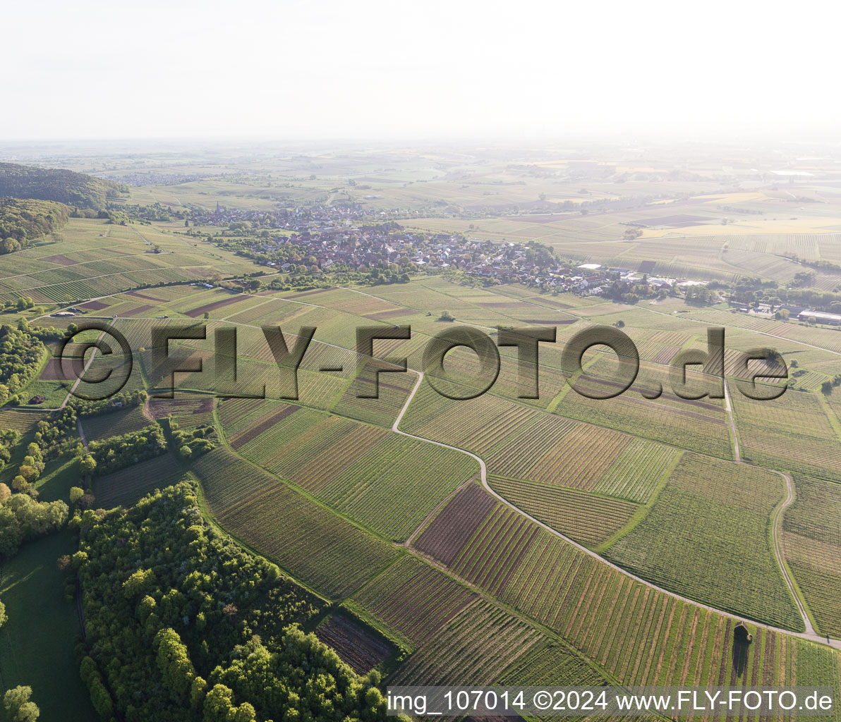 Photographie aérienne de Vignoble Sonnenberg à Wissembourg dans le département Bas Rhin, France